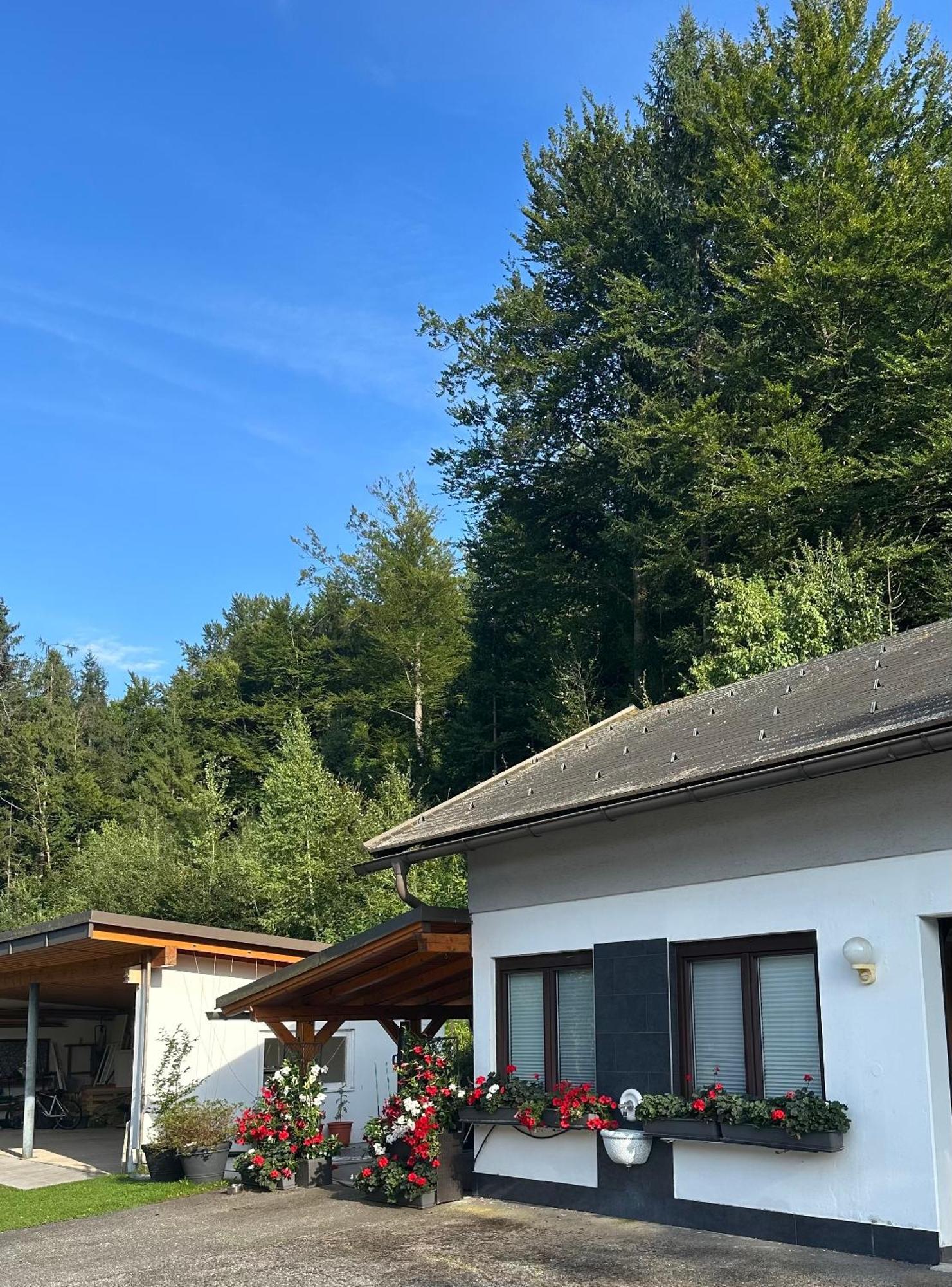 Ferienwohnung Waldblick, Faaker See Oberaichwald  المظهر الخارجي الصورة
